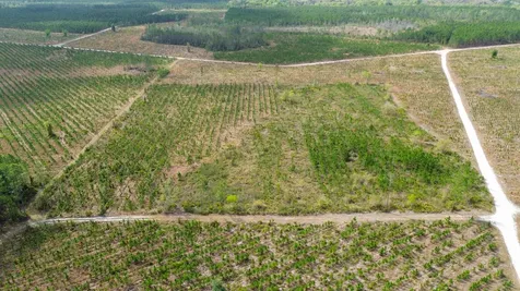 0000 Fox Road Palatka FL 32177
