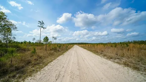 0000 Fox Road Palatka FL 32177