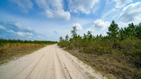 0000 Fox Road Palatka FL 32177