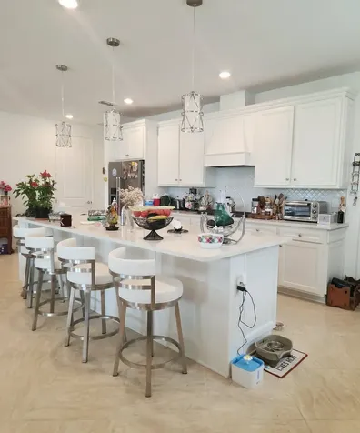 169 Hickory Pine Drive St Augustine FL 32092