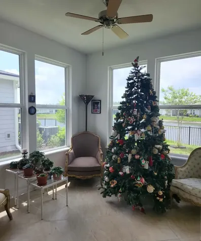 169 Hickory Pine Drive St Augustine FL 32092