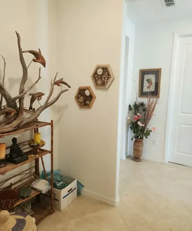 169 Hickory Pine Drive St Augustine FL 32092