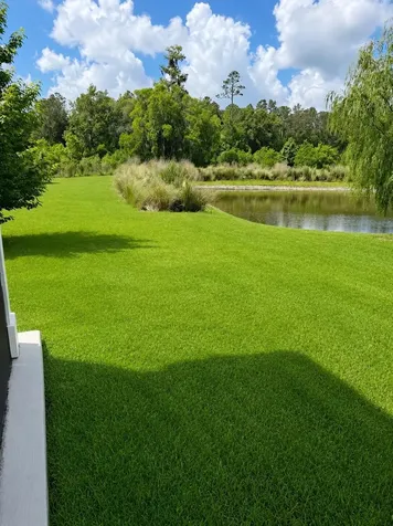 231 Willow Crk Court St Augustine FL 32092