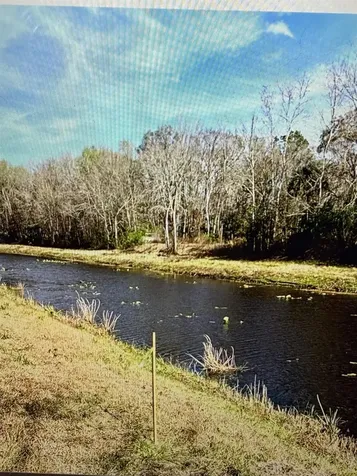 10570 W Deep Creek Boulevard Hastings FL 32145