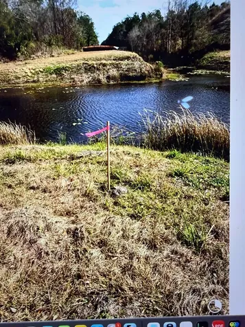 10570 W Deep Creek Boulevard Hastings FL 32145