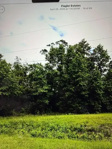 10570 W Deep Creek Boulevard Hastings FL 32145
