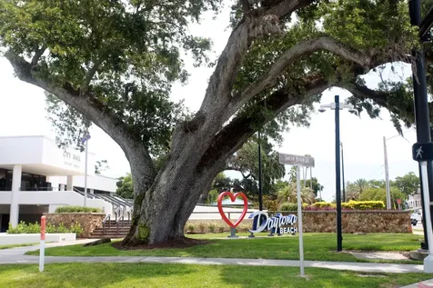 309 Trixie Daytona Beach FL 32114