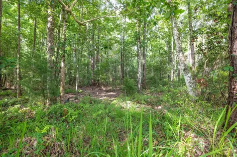 4945 Moultrie Reserve Court St Augustine FL 32086