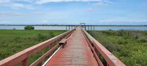 214 Santos Lane St Augustine FL 32086