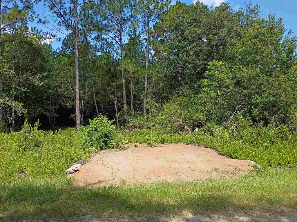 10545 Zigler Avenue Hastings FL 32145-0000