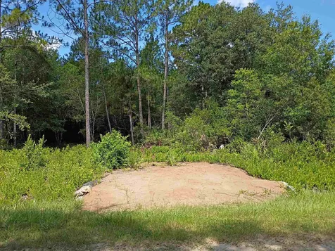 10545 Zigler Avenue Hastings FL 32145-0000