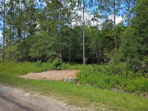10545 Zigler Avenue Hastings FL 32145-0000