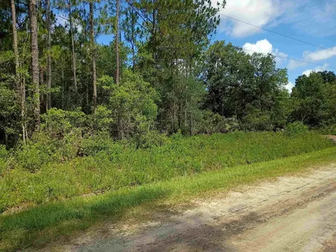 10545 Zigler Avenue Hastings FL 32145-0000