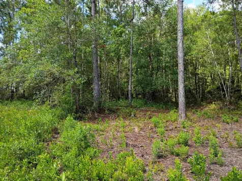 10545 Zigler Avenue Hastings FL 32145-0000