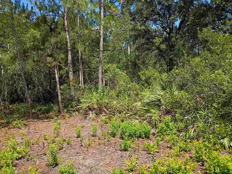 10545 Zigler Avenue Hastings FL 32145-0000
