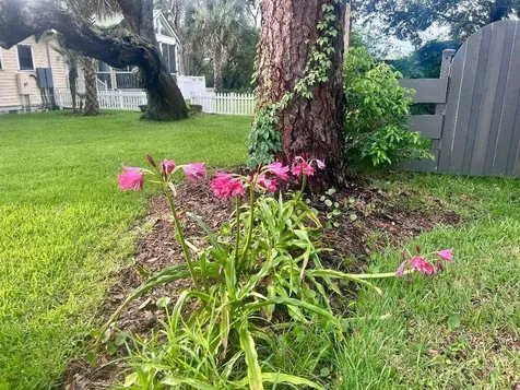 32 E Park Avenue St Augustine FL 32084