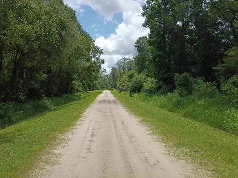 4525 Harold Street Hastings FL 32145-0000