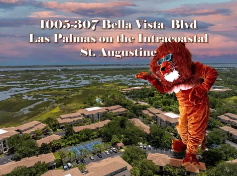 1005 Bella Vista Boulevard St Augustine FL 32084