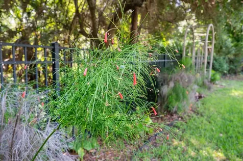 132 Bottlebrush Drive St Augustine FL 32086