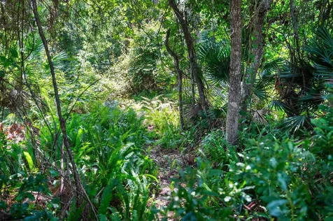 132 Bottlebrush Drive St Augustine FL 32086