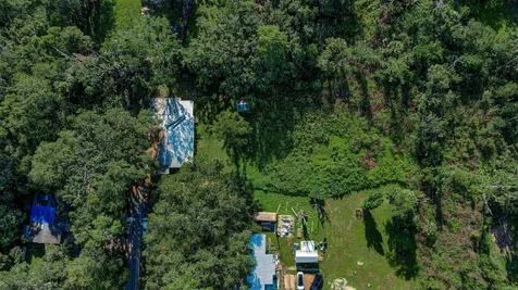 309 Hatten Lane Hastings FL 32145