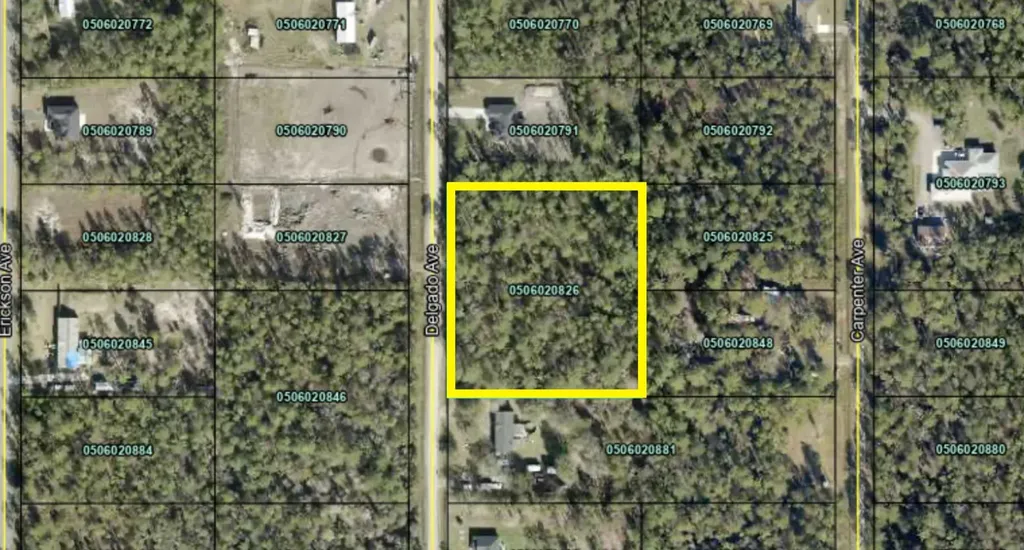 10270 Delgado Avenue Hastings FL 32145