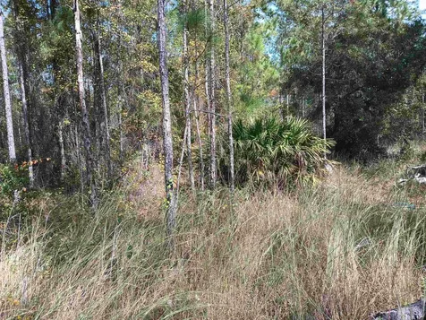 10520 Beckenger Avenue Hastings FL 32145-0000