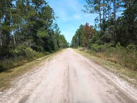 10520 Beckenger Avenue Hastings FL 32145-0000