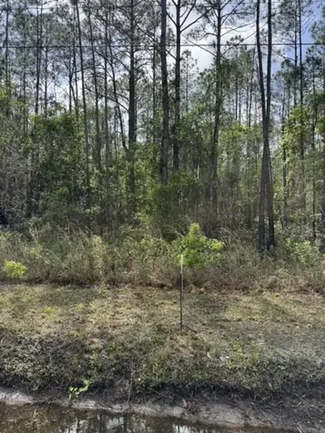 10355 Amos Avenue Hastings FL 32145