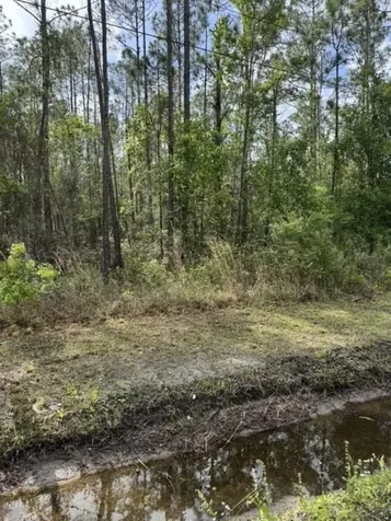 10355 Amos Avenue Hastings FL 32145