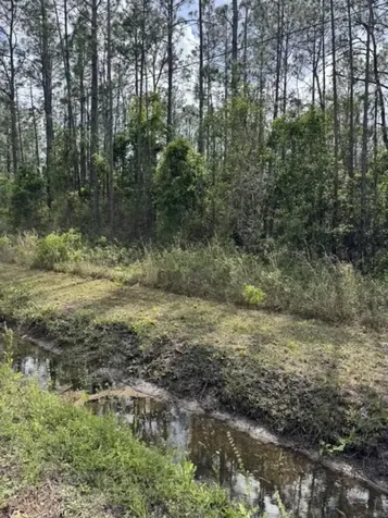 10355 Amos Avenue Hastings FL 32145