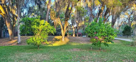 524 Cedar Creek Road Palatka FL 32177