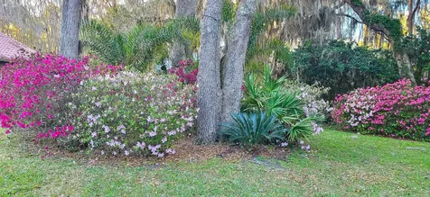 524 Cedar Creek Road Palatka FL 32177