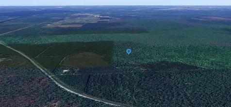 0 Goshawk Road Palatka FL 32177