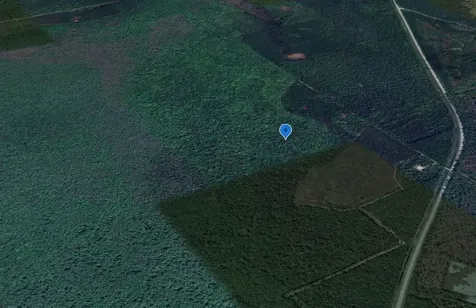 0 Goshawk Road Palatka FL 32177