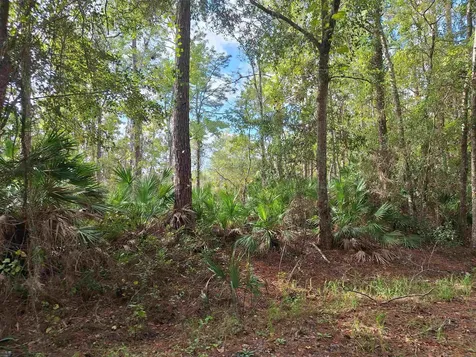 201 Pineway West Avenue Satsuma FL 32189