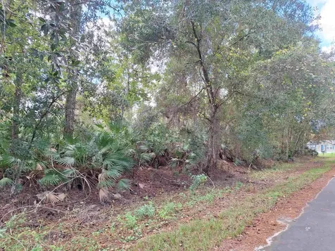 201 Pineway West Avenue Satsuma FL 32189