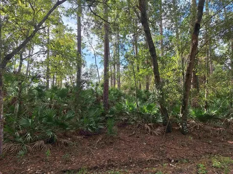 201 Pineway West Avenue Satsuma FL 32189