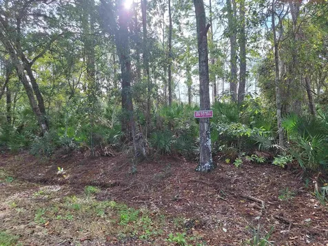 201 Pineway West Avenue Satsuma FL 32189