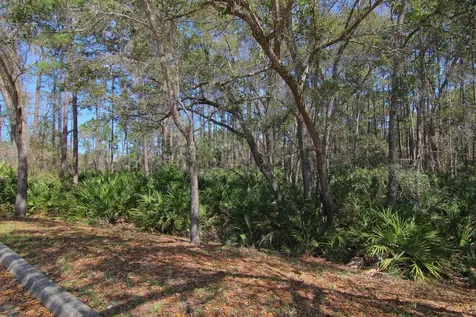 115 E Pine Hollow Trail St Augustine FL 32086