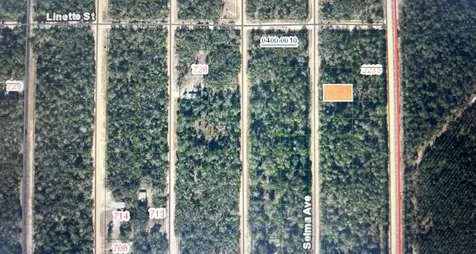 0C Selma Avenue Interlachen FL 32148