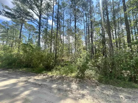 0C Selma Avenue Interlachen FL 32148