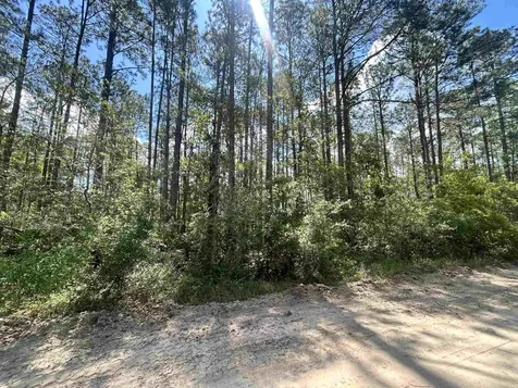 0C Selma Avenue Interlachen FL 32148