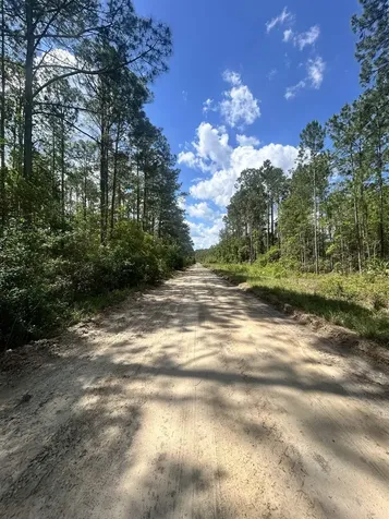 0C Selma Avenue Interlachen FL 32148