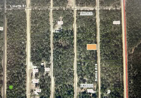 0A Selma Avenue Interlachen FL 32148