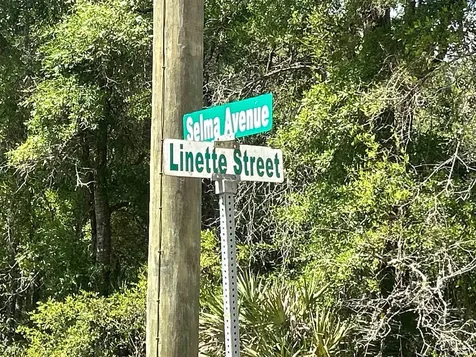 0A Selma Avenue Interlachen FL 32148