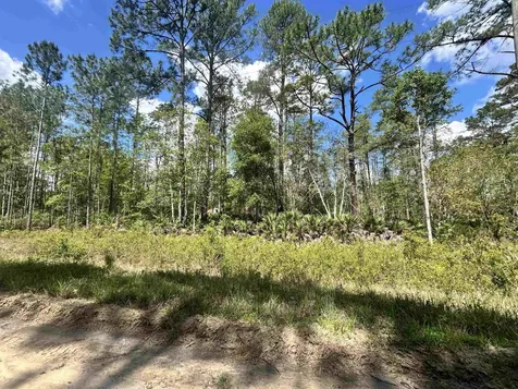 0A Selma Avenue Interlachen FL 32148