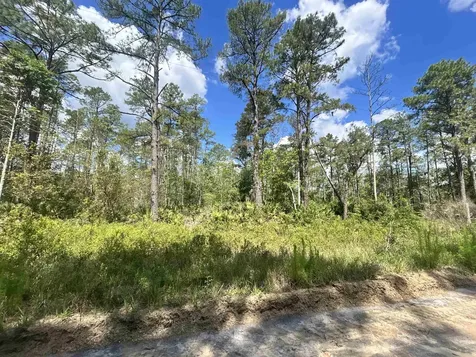 0A Selma Avenue Interlachen FL 32148