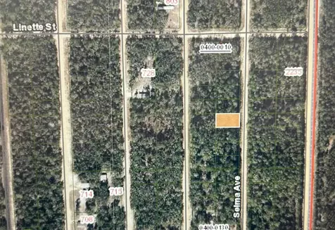 0B Selma Avenue Interlachen FL 32148