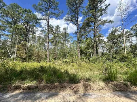 0B Selma Avenue Interlachen FL 32148